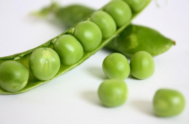 CONSERVA VEGETAL GUISANTES